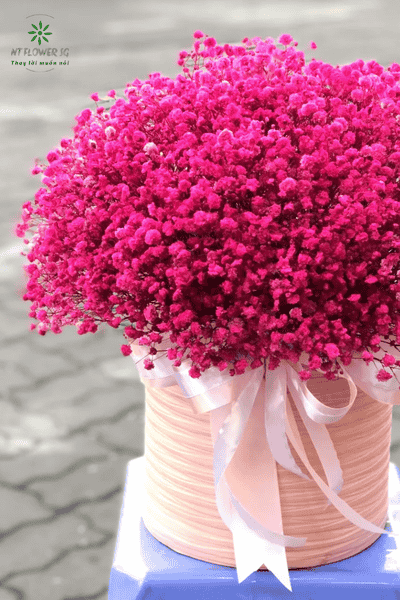 Hoa Chúc Mừng Khai Giảng Năm Học Mới 2025 Đẹp Sang Trọng